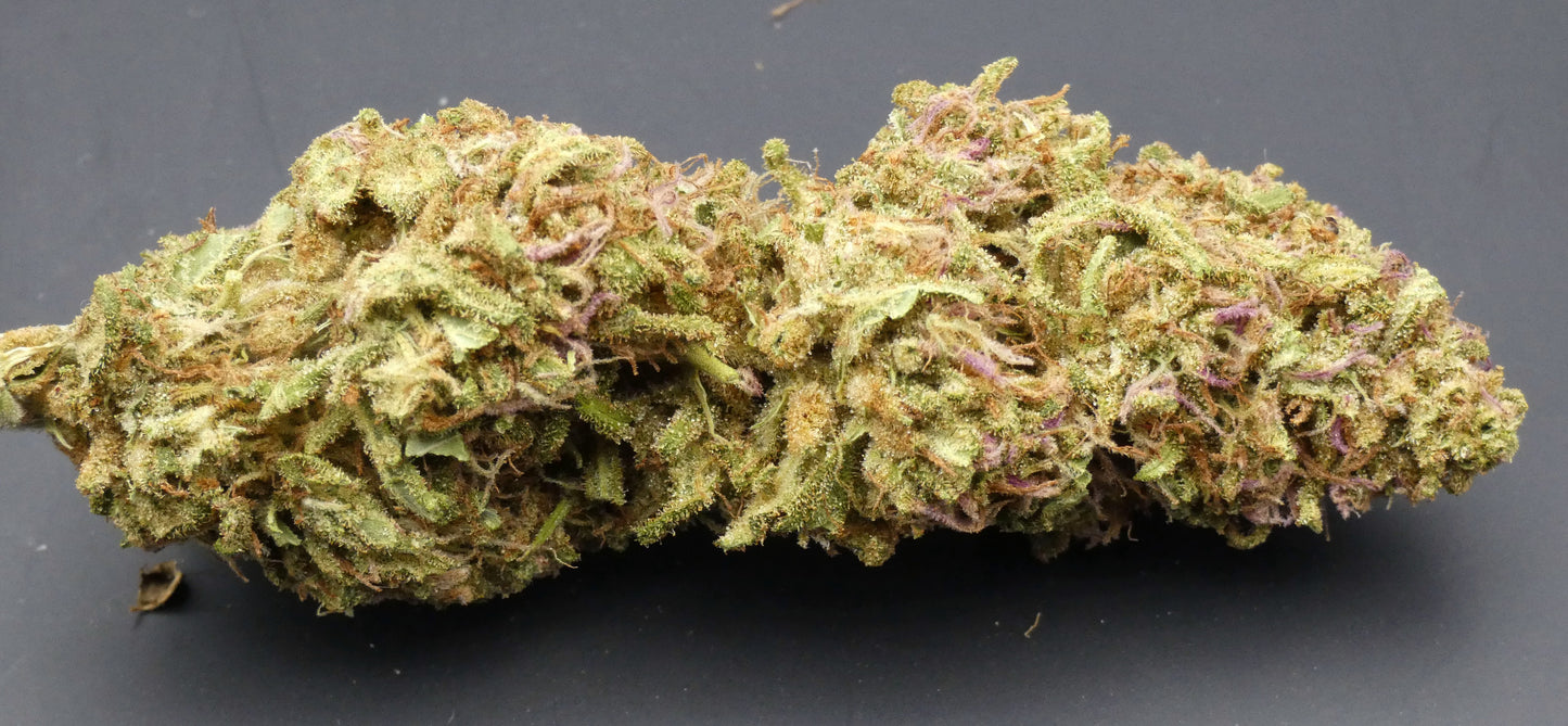 La Grosse Tête (Fleur Standard)