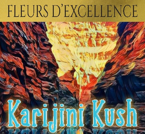Karijini Kush (Fleur d'Excellence)