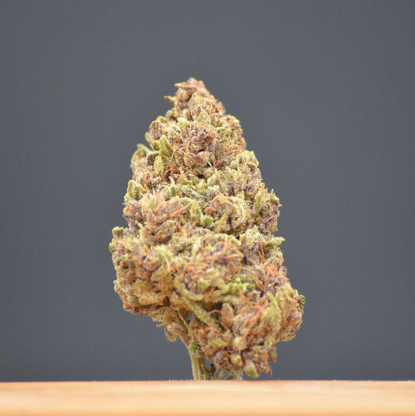Ardèch'Oz (Fleur d'Excellence)