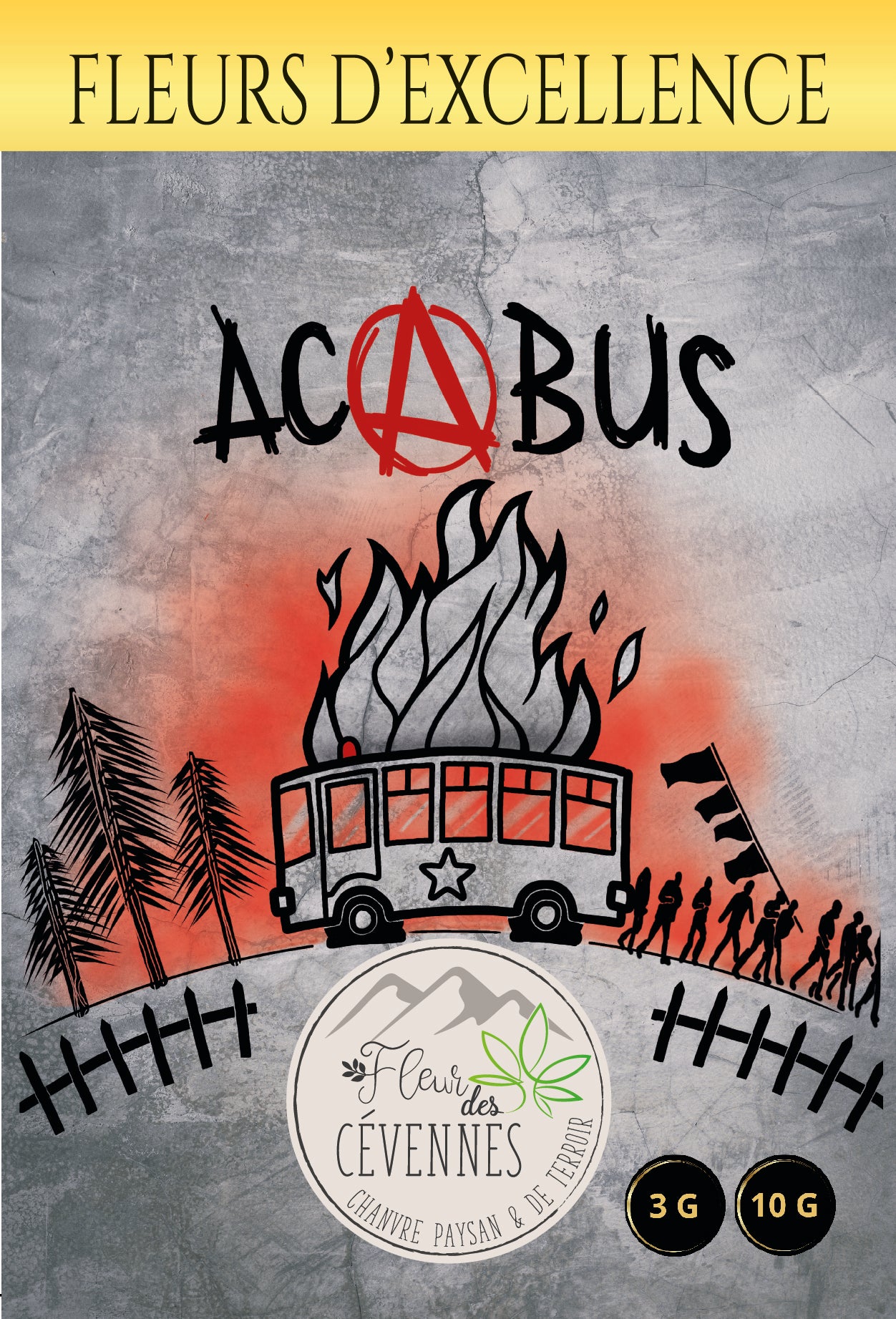 Acabus (Fleur d'Excellence)