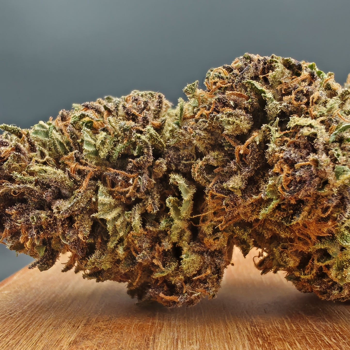 Lake Taupo'ff (Fleur d'Excellence)