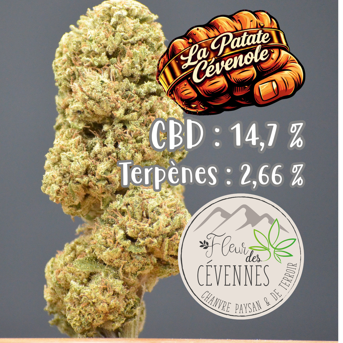 La Patate Cévenole (Fleur d'Excellence)