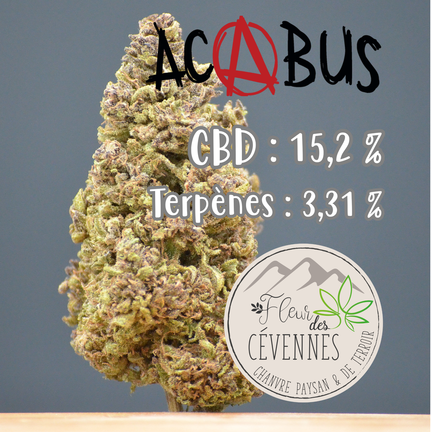 Acabus (Fleur d'Excellence)