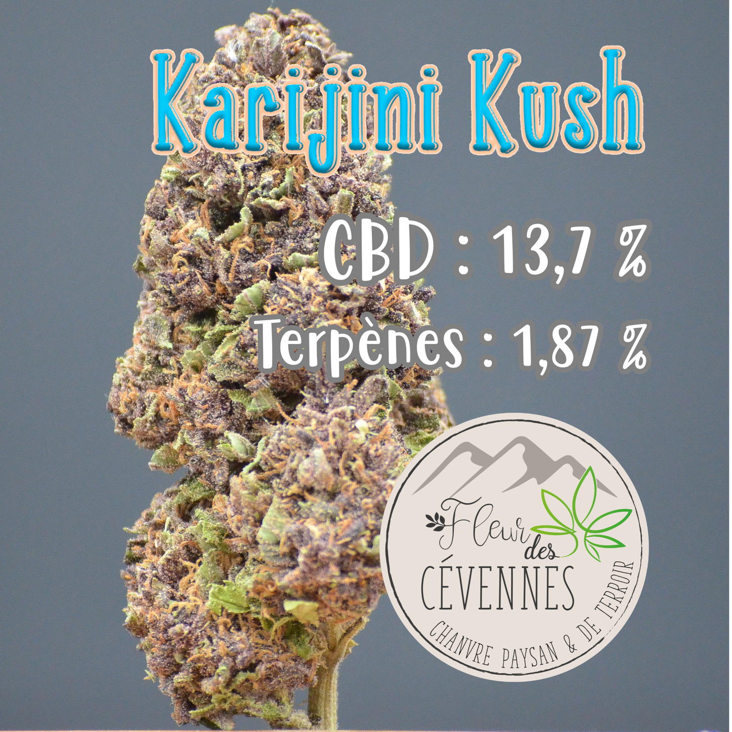 Karijini Kush (Fleur d'Excellence)