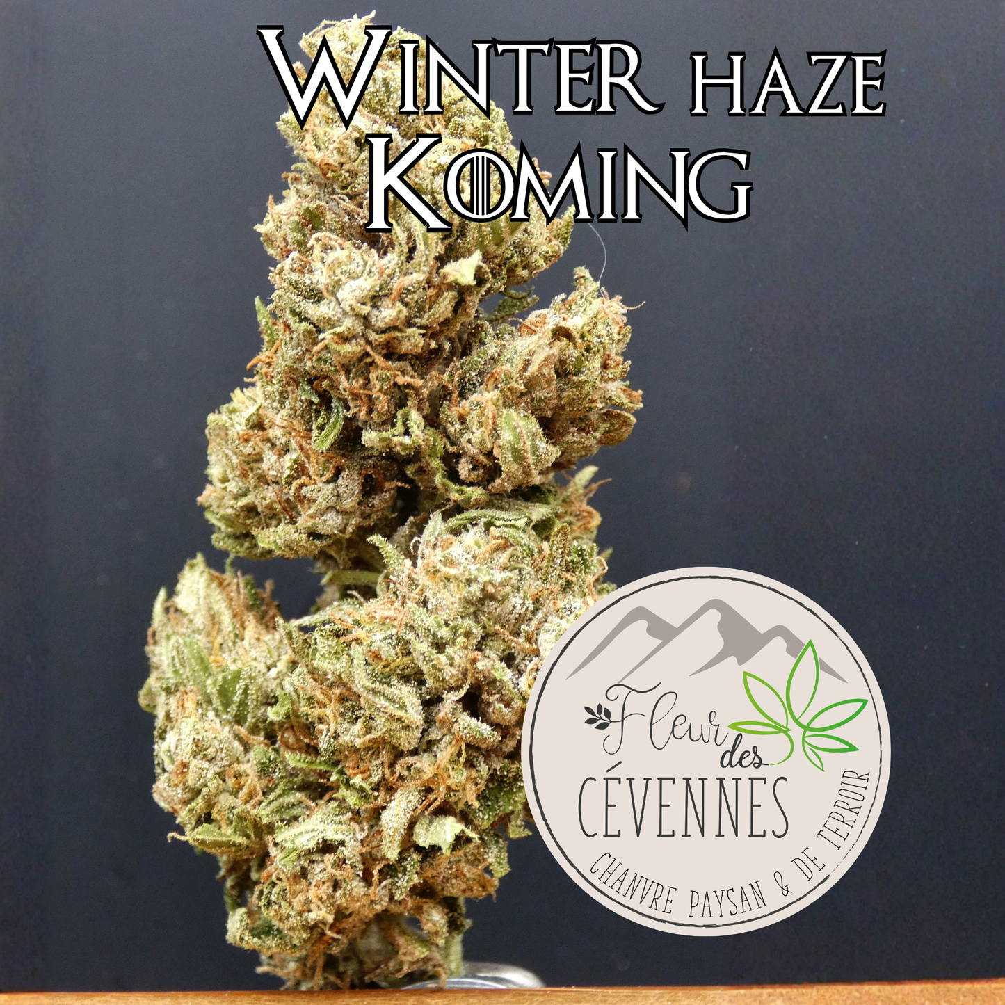 Winter Haze Koming (Fleur d'Excellence)