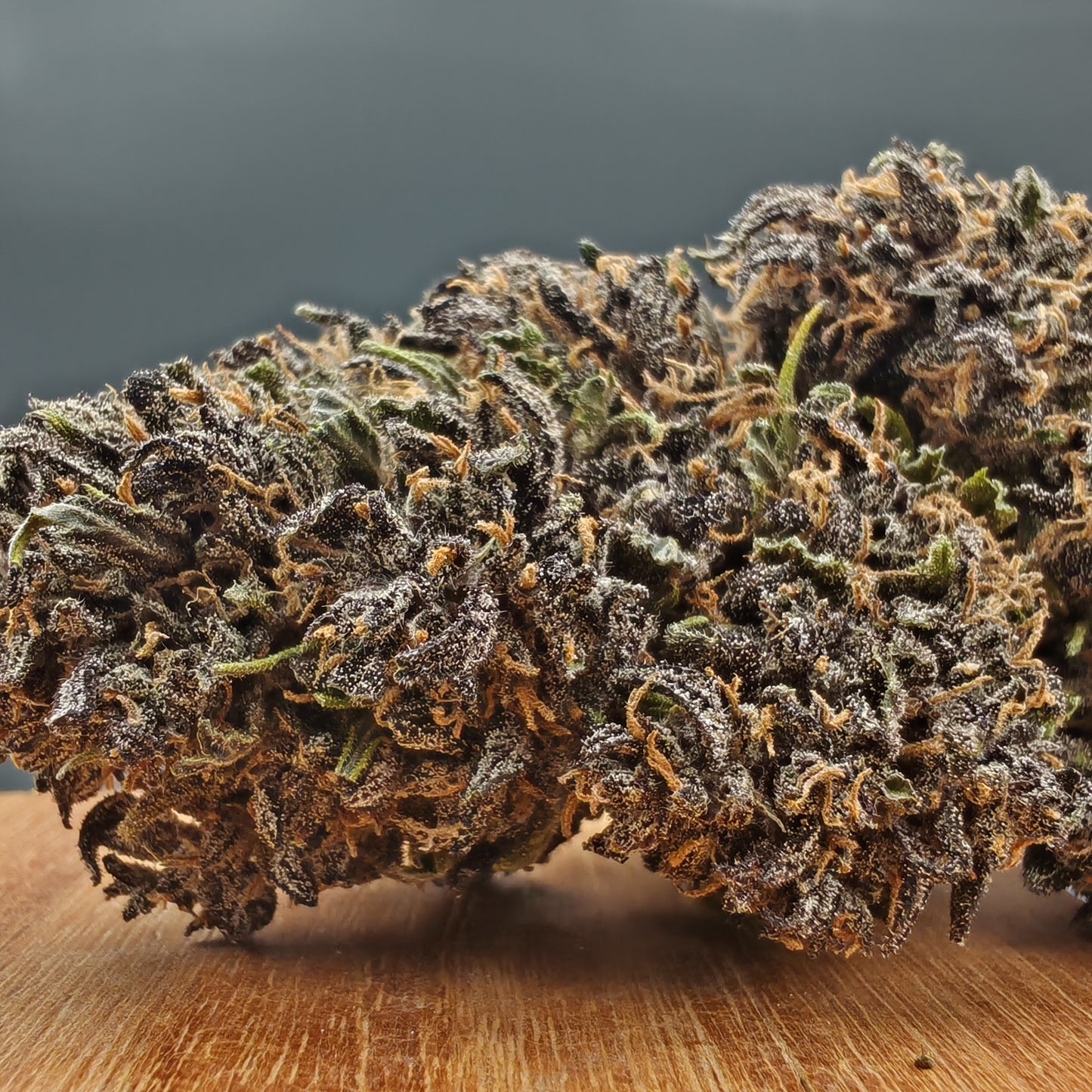 Dark Light (Fleur d'Excellence)