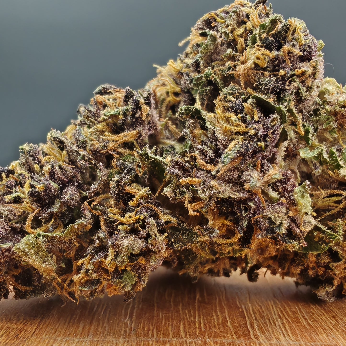 Blue Sky (Fleur d'Excellence)